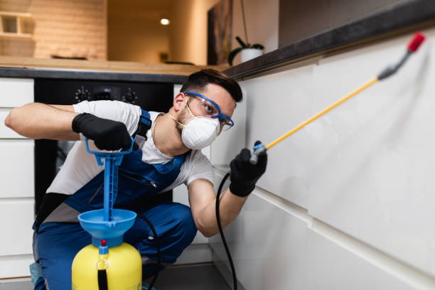 Best Affordable Pest Control Services  in Gretna, NE