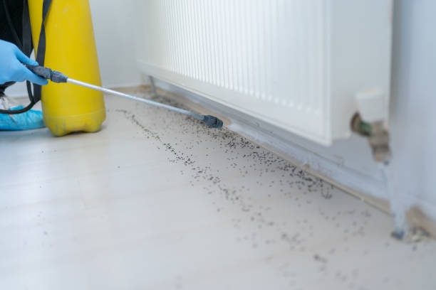 Best Commercial Pest Control Services  in Gretna, NE