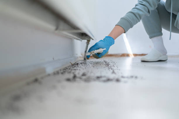 Best Pest Removal Services  in Gretna, NE