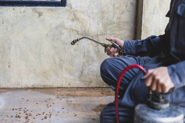 Best Affordable Pest Control Services  in Gretna, NE